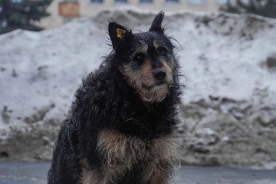 Rainy and Near-Spring Weather Forecast for Stavropol and Caucasian Mineral Waters This Weekend