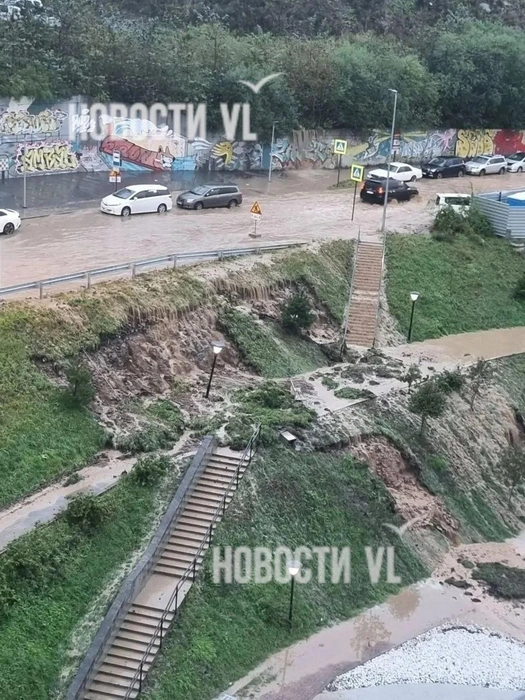 Источник: vl.ru