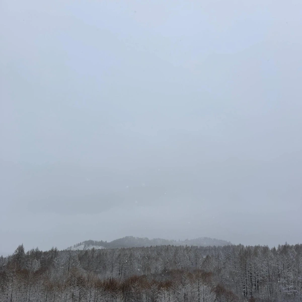 Источник: t.me/family_walk_rf