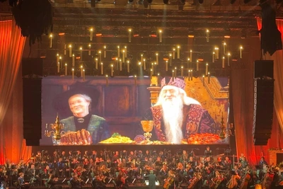 Волшебные мелодии из Хогвартса прозвучали в Новосибирске