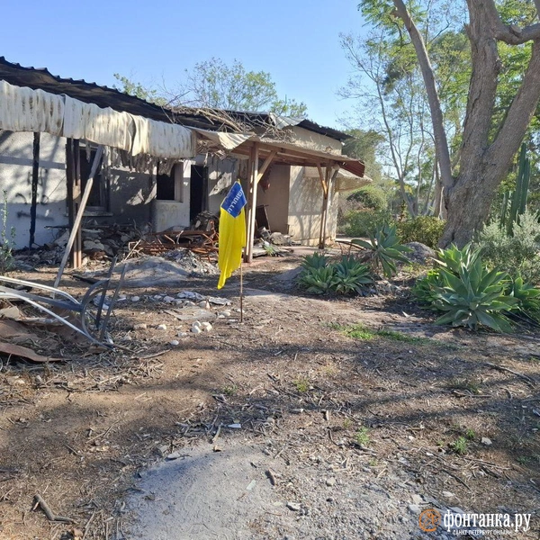 Источник: Ирина Багликова / «Фонтанка.ру»