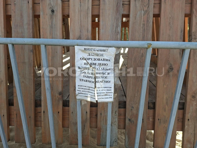 Источник: Алёна Воропаева / Voronezh1.ru
