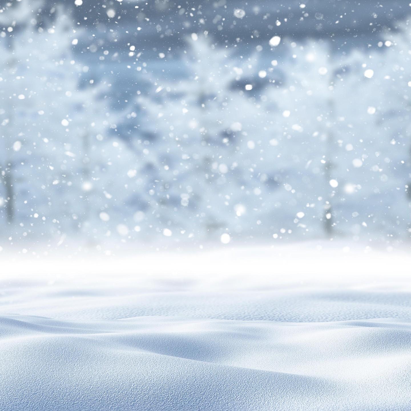 Сугробы до девятого этажа, проблемы с поставкой продуктов и смерти: как жители Камчатки переживают аномальные снегопады