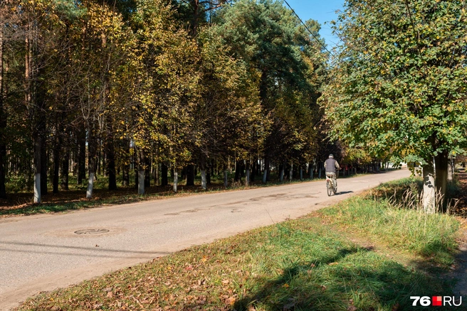 Несмотря на удаленность села, нельзя назвать его умирающим | Источник: Александр Куренной / 76.RU