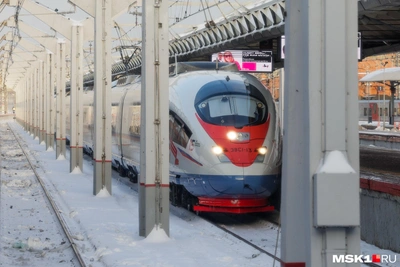 «Сапсаны» и «Авроры» после ВСМ: появятся ли в Нижнем Новгороде?