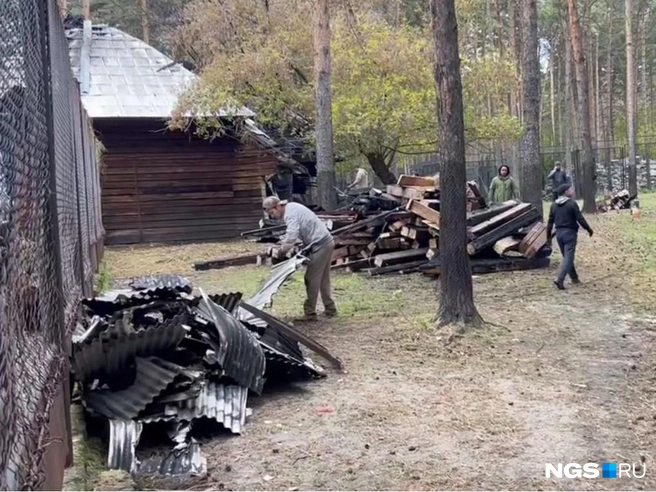 В зоопарке Новосибирска 23 сентября произошёл пожар | Источник: Настасья Медведева / NGS.RU