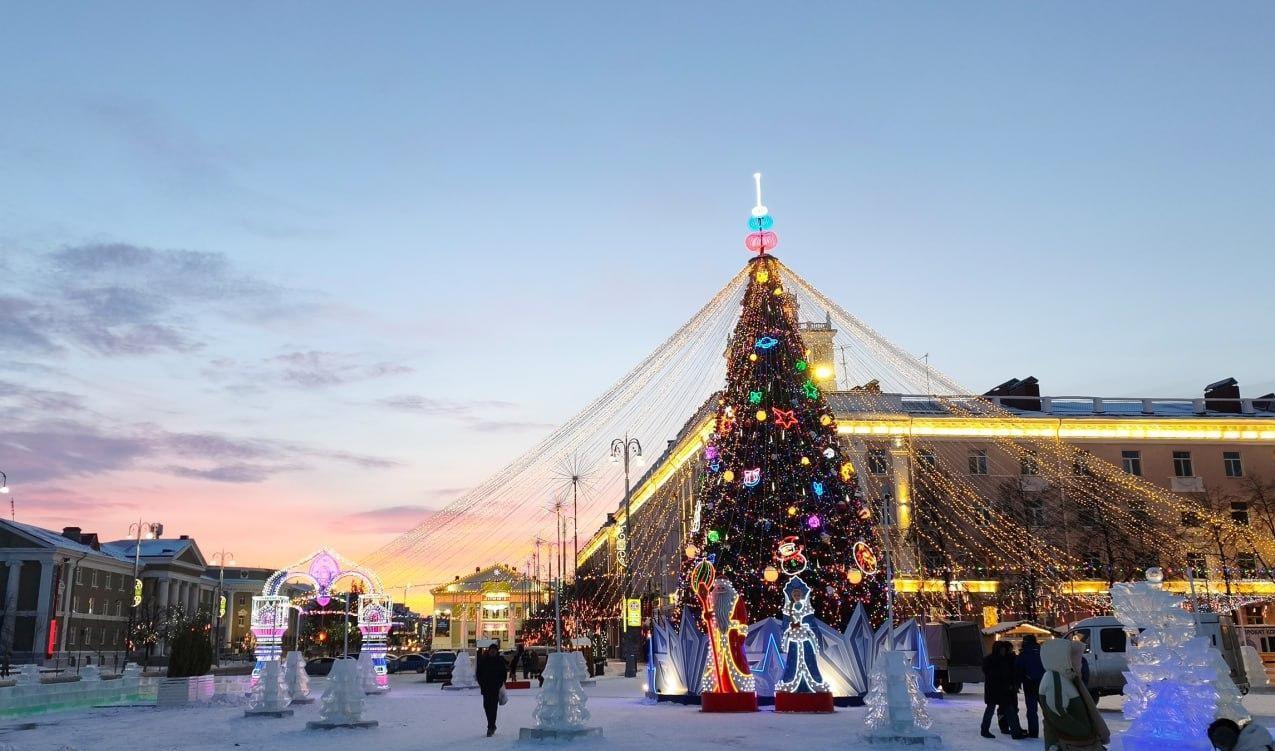 Промерзшие автобусы, фиктивные браки с военными и нападение собак на школьницу: дайджест от 45.RU