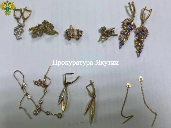 Драгоценности оценили в 352 тысячи рублей | Источник: «Прокуратура Якутии» / T.me