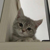 userpic__vasilievavikysia