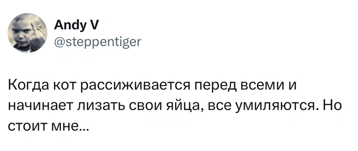 Источник: X (Twitter)