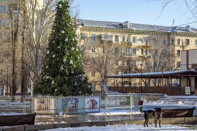 Солнечная зима в самом северном районе Волгограда
