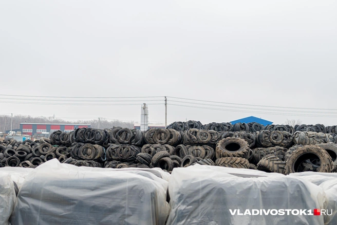 Источник: Елена Буйвол / VLADIVOSTOK1.RU