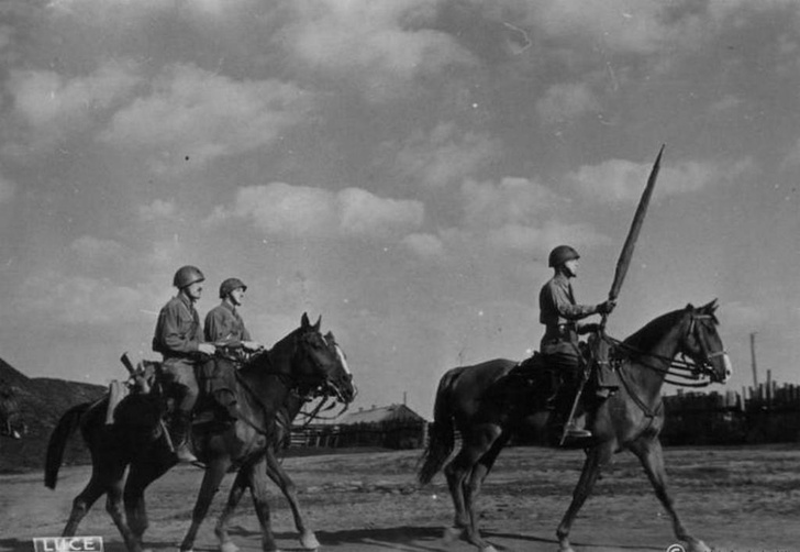 Последний бой кавалерии в истории: сражение у хутора Избушенский, 1942 год
