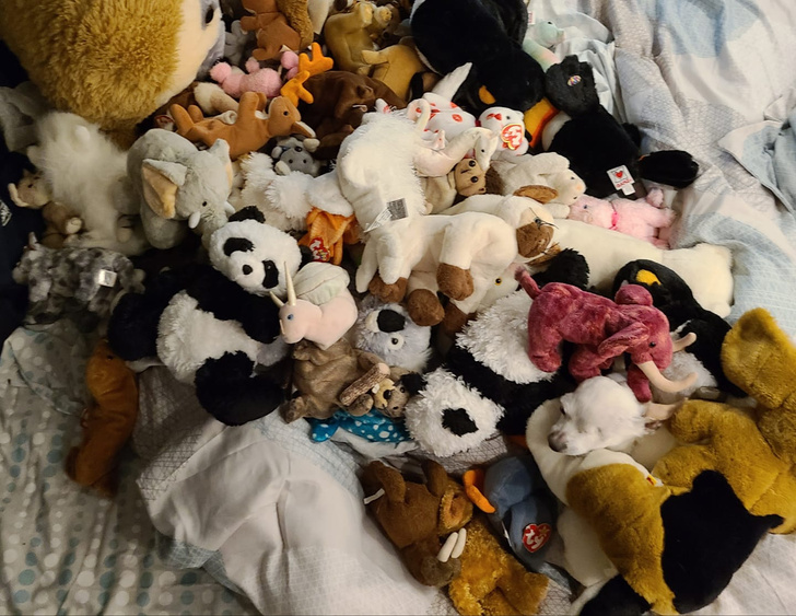 Щетка по уходу за шерстью собак и кошек