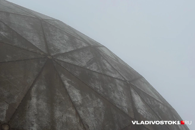 Источник: Елена Буйвол / VLADIVOSTOK1.RU