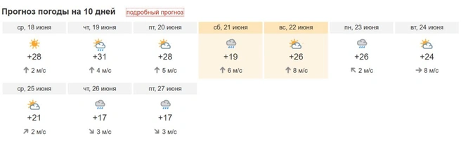 Средняя температура может опуститься до +17 градусов уже 26 июня | Источник: «Погода НГС»
