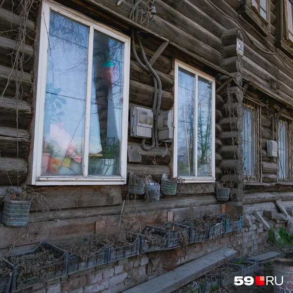 Источник: Тимофей Калмаков / 59.RU