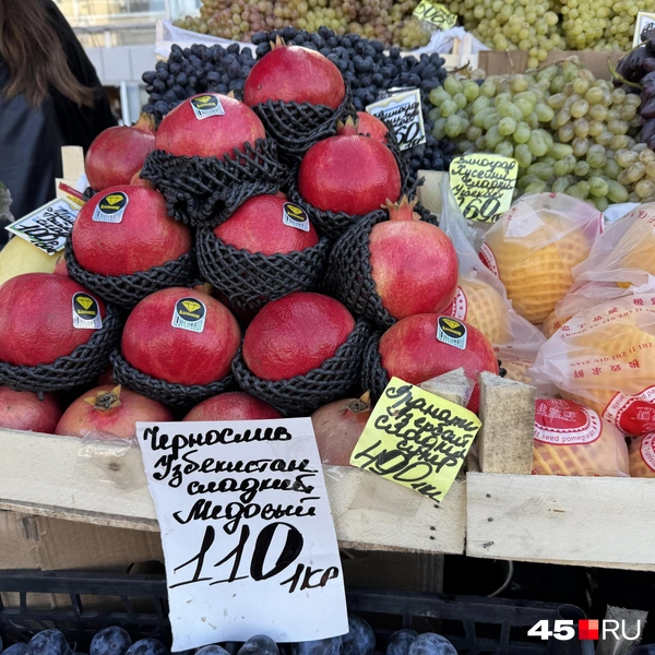 Источник: Юлия Король / 45.RU