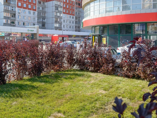 Фонд «Город для людей» создали с целью сделать Новосибирск комфортным и привлекательным для жизни | Источник: фонд «Город для людей»