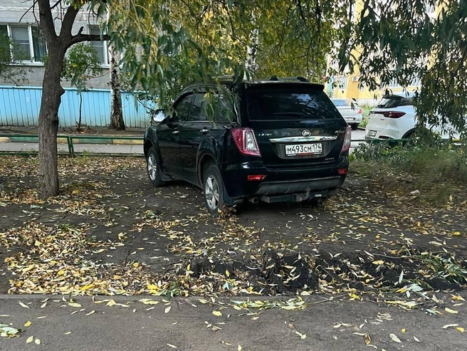 Видимо, осенний снимок: Lifan нашел свое место под солнцем | Источник: читатель 74.RU