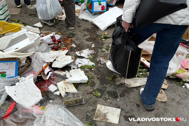 Источник: Елена Буйвол / VLADIVOSTOK1.RU