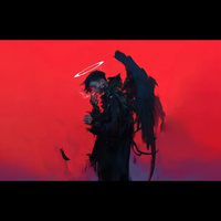 Аватарка Diana Drako