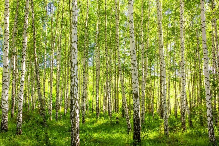 Источник: Shutterstock/Fotodom.ru