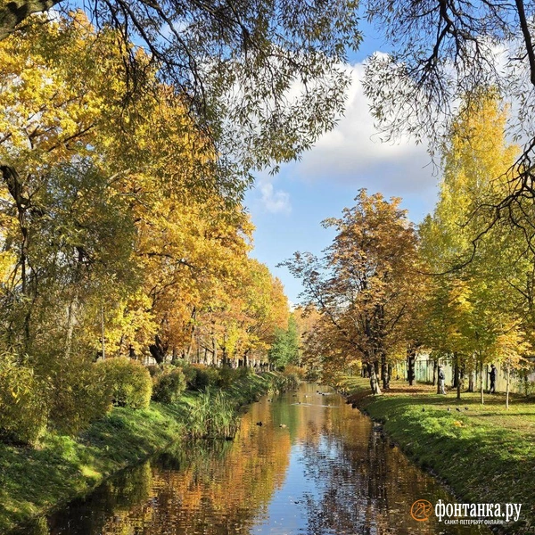 Источник: читательница «Фонтанки» Елена