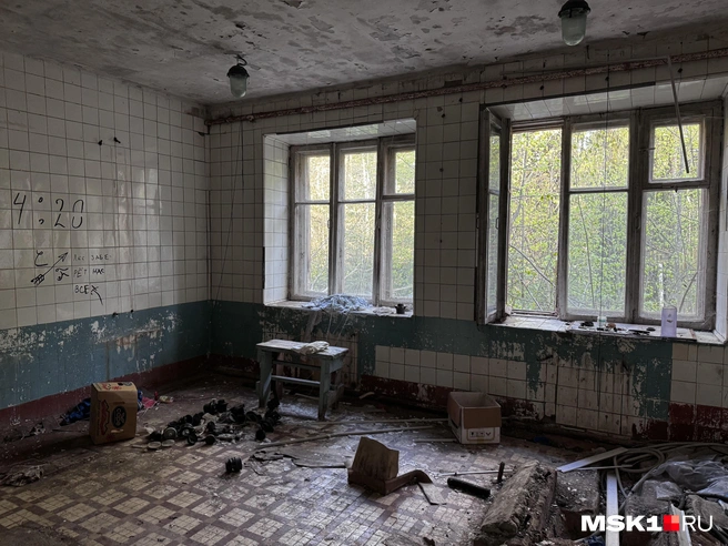 Источник: Алина Мельникова / MSK1.RU