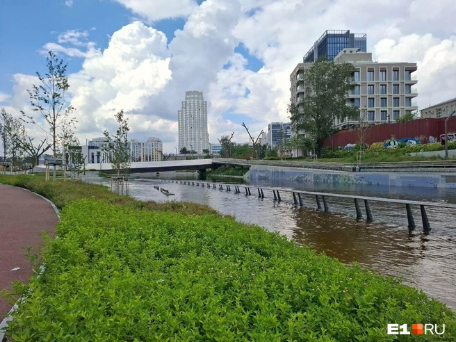 Жители города недовольны ситуацией | Источник: читатель Е1.RU