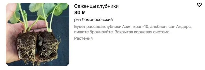 Источник: Avito.ru