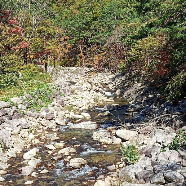 Горный ручей | Источник: личный архив Ирины Чирковой