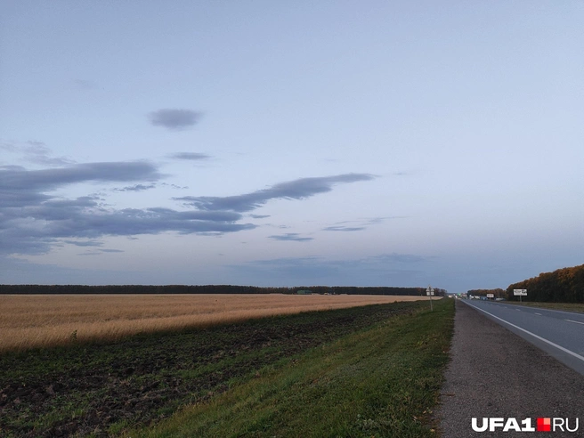 Поле непаханое | Источник: Марина Каримова / UFA1.RU