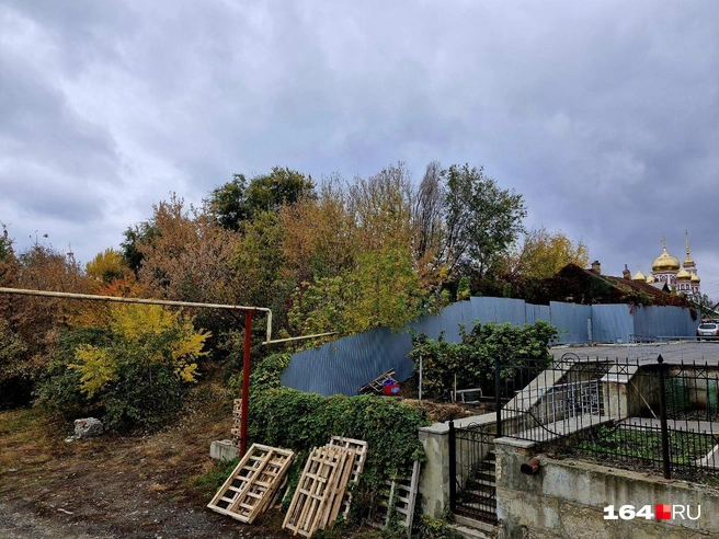 Наверное, через 20 лет этот вид станет другим | Источник: Виктория Федорова / 164.RU