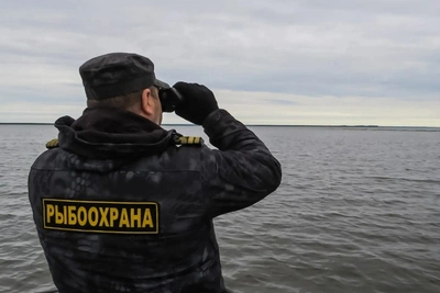 Сахалинских браконьеров оштрафовали на 75 000 рублей