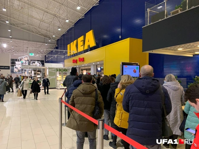 Такого ажиотажа IKEA, вероятно, не видела уже давно