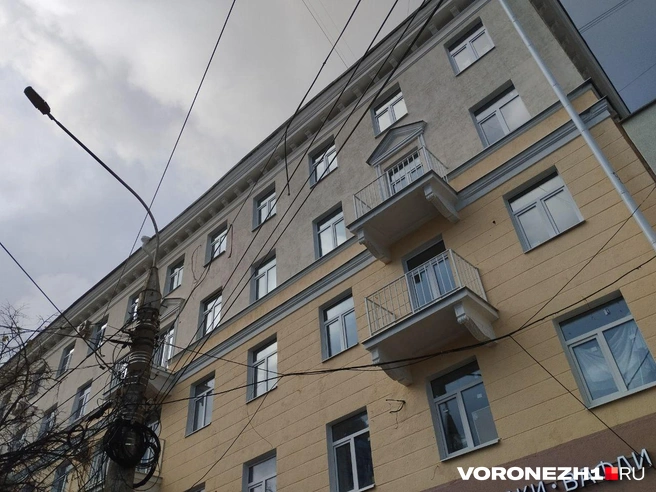 Источник: Дмитрий Волгин / Voronezh1.ru