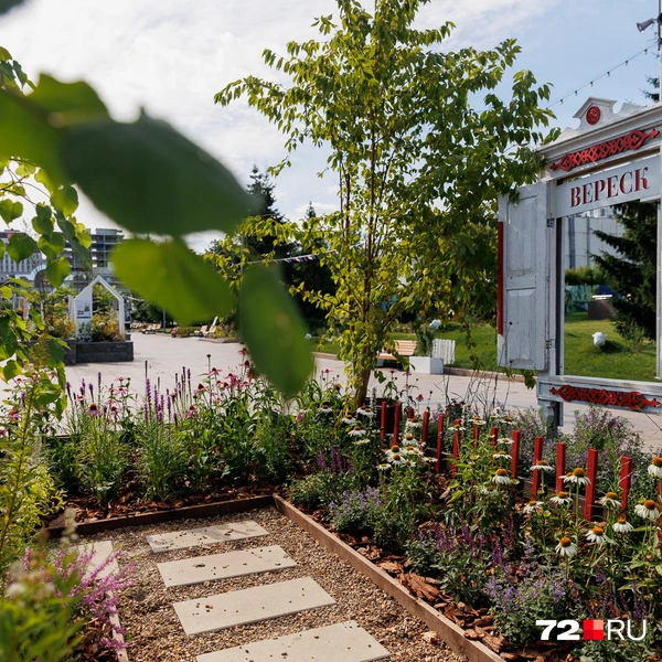 Источник: Ирина Шарова / 72.RU