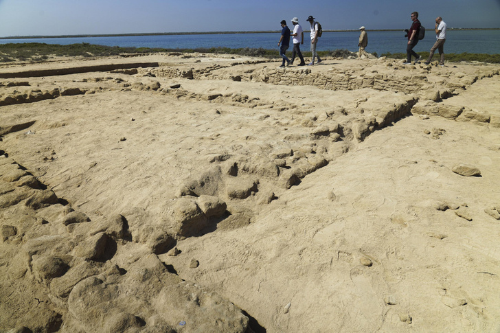 Берег из тысяч устриц: недалеко от Дубая нашли самый древний «жемчужный» город