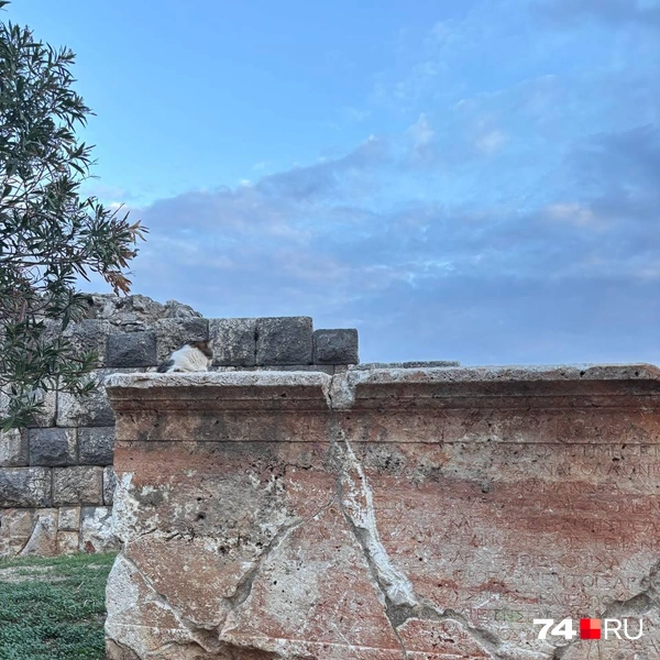 Источник: Наталия Колмогорова