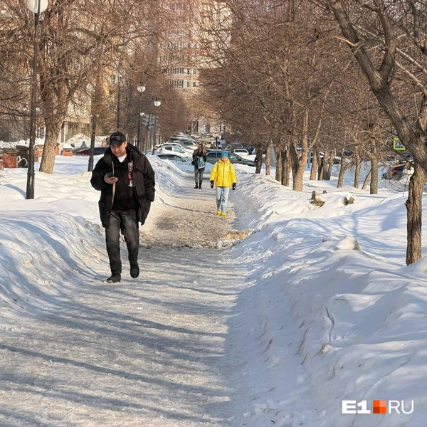 Источник: Дарья Манохина / E1.RU
