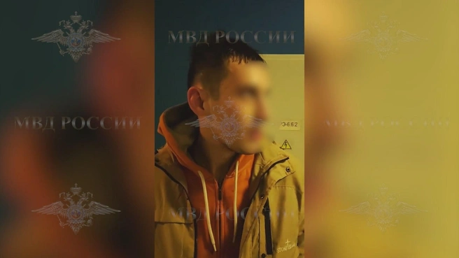 «Сказали, что разыграть друга надо». Подробности о новом задержанном за нападения на полузащитника «Зенита» и зятя депутата Госдумы в Петербурге | Источник: Ирина Волк / Telegram