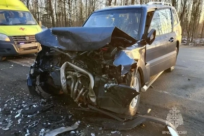 Уголовное дело за смертельное ДТП под Гатчиной