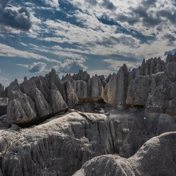 Национальный парк Цинги-де-Бемераха | Источник: Veranika848/Shutterstock/Fotodom.ru