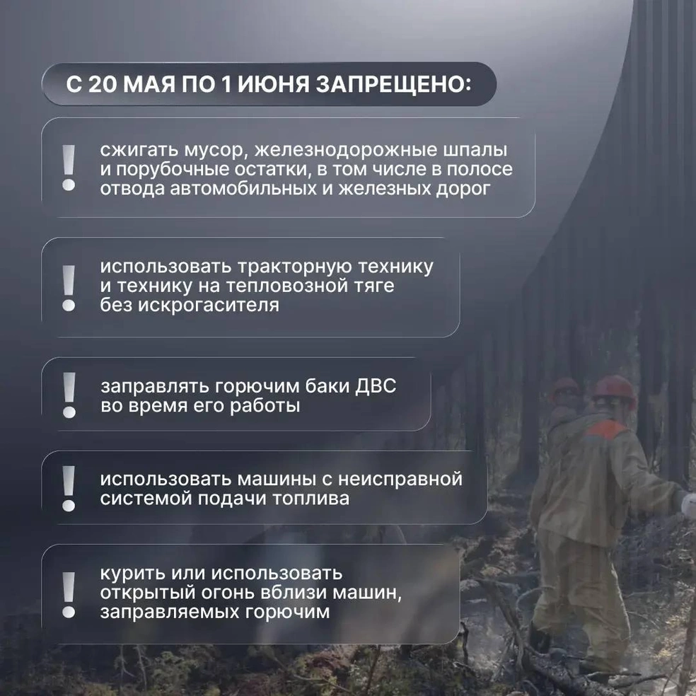 Источник: Александр Цыбульский / T.me