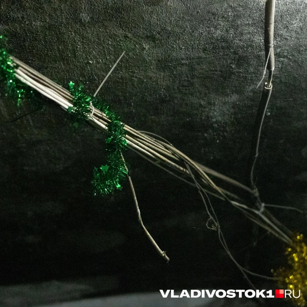 Источник: Елена Буйвол / VLADIVOSTOK1.RU