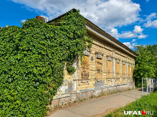 Плющ пытается съесть дом | Источник: Булат Салихов / UFA1.RU
