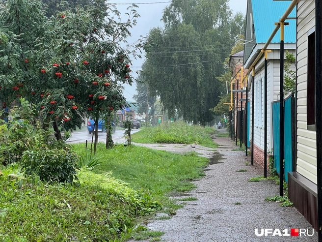 Зимой как-то получше было | Источник: Андрей Бирюков / UFA1.RU