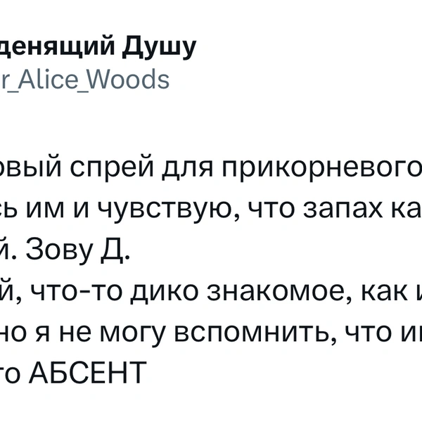 Источник: X (Twitter)