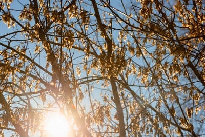 На Архангельскую область надвигается магнитная буря